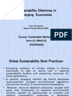 S-2b.sustainability Dilemmas in Emerging Economies