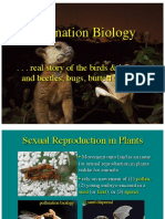 Pollination Biology: - . - Real Story of The Birds & Bees - . - and Beetles, Bugs, Butterflies, Bats