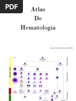 ATLAS - Hematologia