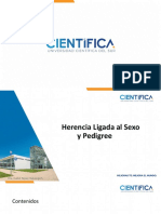 Clase 11. Herencia Ligada Al Sexo