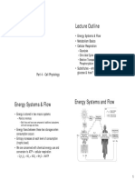 Cellular Metabolism