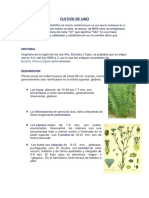 CULTIVO-DE-LINO.docx