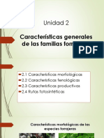 Características de Familias Forrajeras