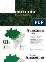 Amazonia - FIESP 2019