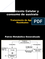 12º Clase - Crecimiento Celular y Consumo de Sustrato