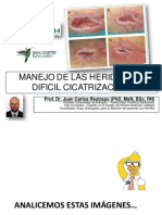 11-Manejo-Heridas-Dificil-Cicatrizacion 2019 PDF