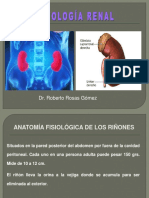 04 - Fisiologia Renal