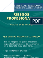 RIESGOS PROFESIONALES