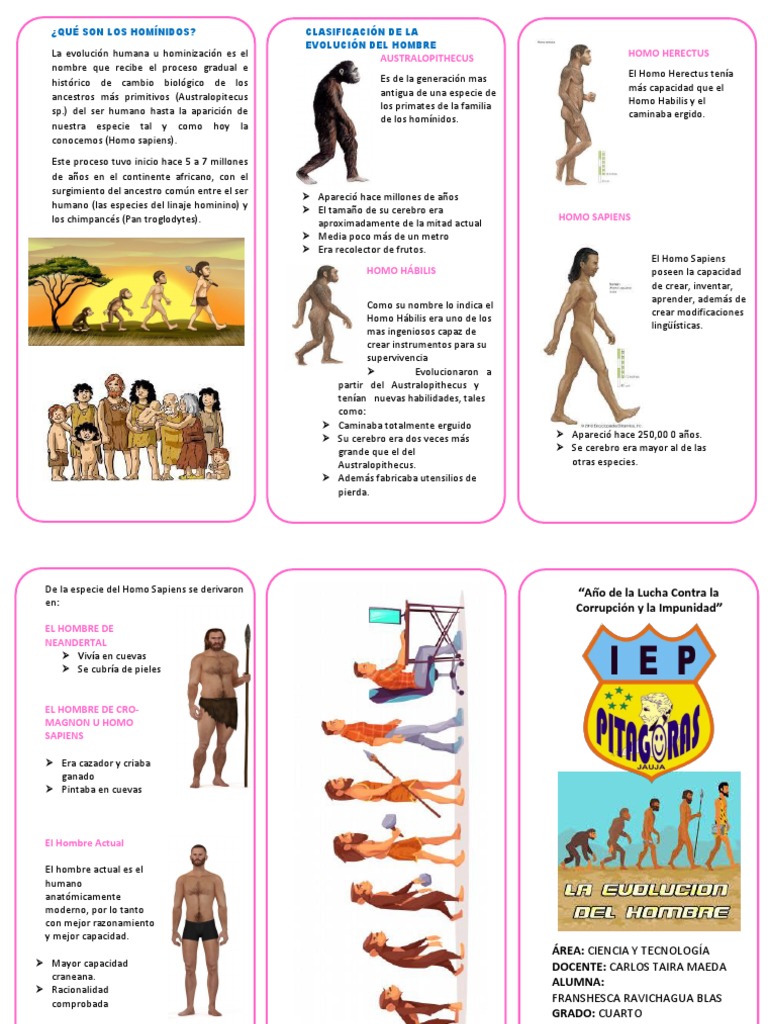 Cronología De La Evolución Humana Origen Y Evolución Del Ser Humano