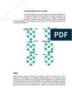 Formaciones de Peloton