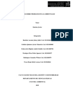 Trabajo Colaborativo Cultura Ambiental PDF
