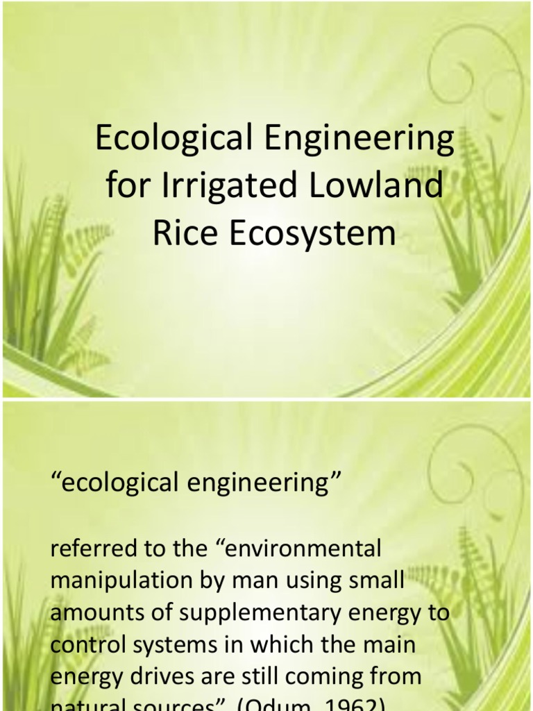 Ecological Engineering For Irrigated Lowland Rice Ecosystem | PDF ...