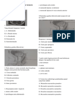 SOAL UROGENITAL 7HE 7ENDON.docx