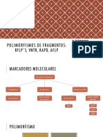 Técnicas de Detección de Polimorfismos