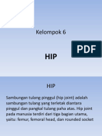 Hip Joint