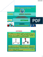 Separata 10 Cetonas