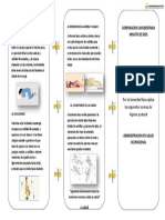 Plantilla 1 Higiene Postural