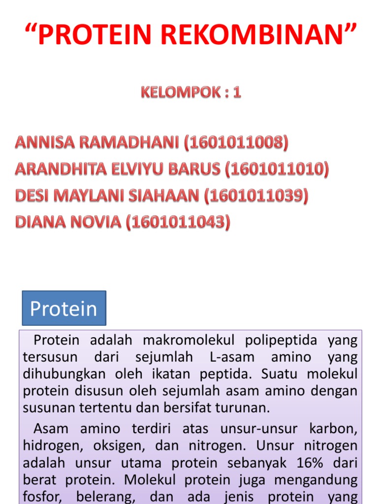 Protein Rekombinan | PDF