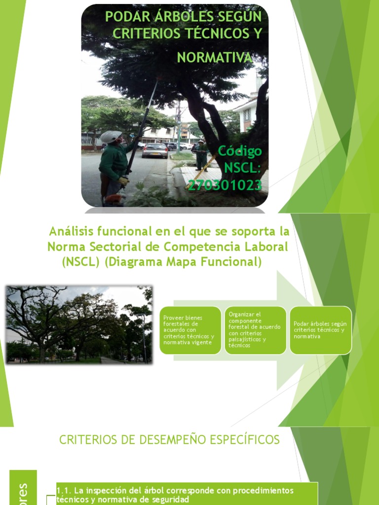 Presentación Norma Poda | PDF | Informática y tecnología de la información  | Business