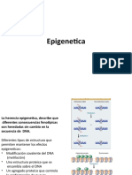 Epigenetic A