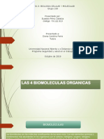Presentacion Diapositiva 4 Biomoleculas Organicas.
