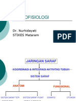 NEUROFISIO