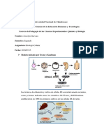 Biologia Celula Madre