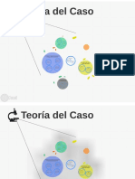 Teoría del caso pdf.pdf