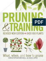 Pruning and Training What When and How To Prune Revised Edition