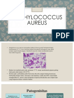 Staphylococcus Aureus