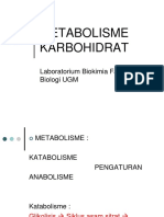 carbohydrates II metabolism.pdf