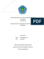 2. Lp Dan Sp Halusinasi