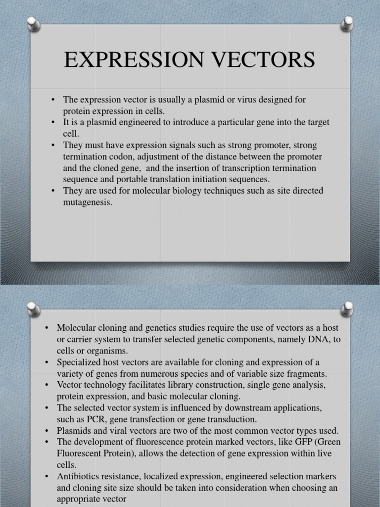 Expression Vector | PDF | Vector (Molecular Biology) | Molecular Cloning