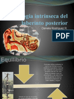 Fisiología Intrínseca Del Laberinto Posterior1