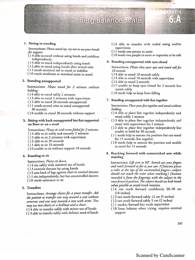 Berg Balance Scale PDF