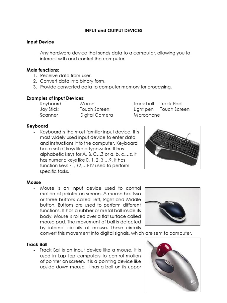 Input Devices | PDF | Printer (Computing) | Computer Monitor
