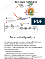 Entamoeba Hystolitica