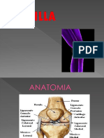 Clase 5 - Rodilla - Artroscopia y Ligamento II