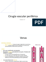 Clase 17, Cirugía Vascular Periférica
