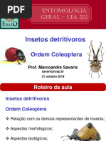 Aula teórica 12 - Insetos_Detritívoros_Coleoptera.pdf
