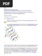 Cellulare