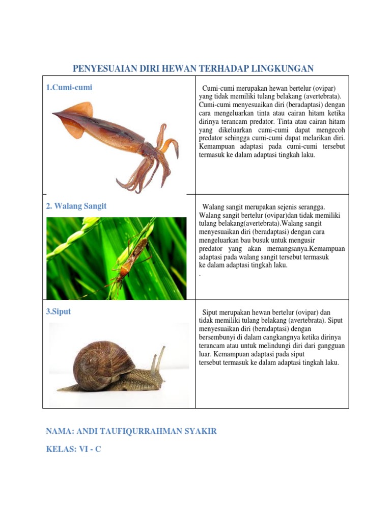 Tugas Taufik Pdf
