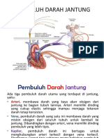 Pembuluh Darah Jantung