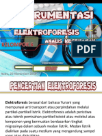 Elektroforesis