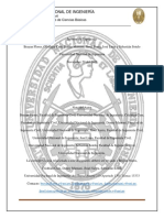 Topo 1 Informe 6 (Sin Cure)