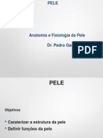 Anatomia e Fisiologia Da Pele