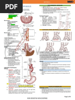 Diseases of The Esophagus DR Lapuz MCD