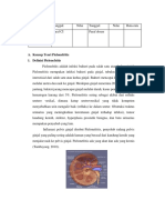 LP PIELONEFRITIS.docx