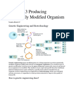 Lesson 7.3 Producing Genetically Modified Organism: Genetic Engineering and Biotechnology