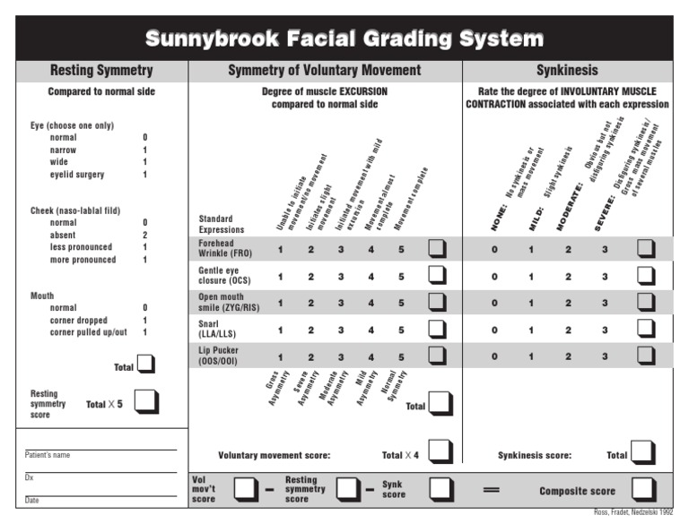 Facial Grading System PDF Face Medical Specialties